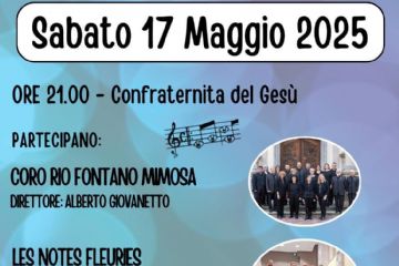 Sfoglia la galleria